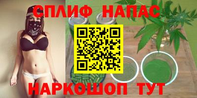 стафф Краснодар
