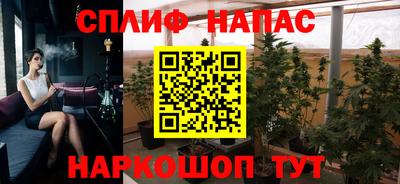 стафф Краснодар